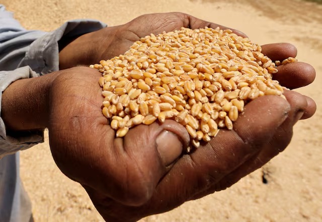أسبوع الغذاء العالمي في أبوظبي: منصة "الفاو" لتعزيز الابتكار والأمن الغذائي العالمي