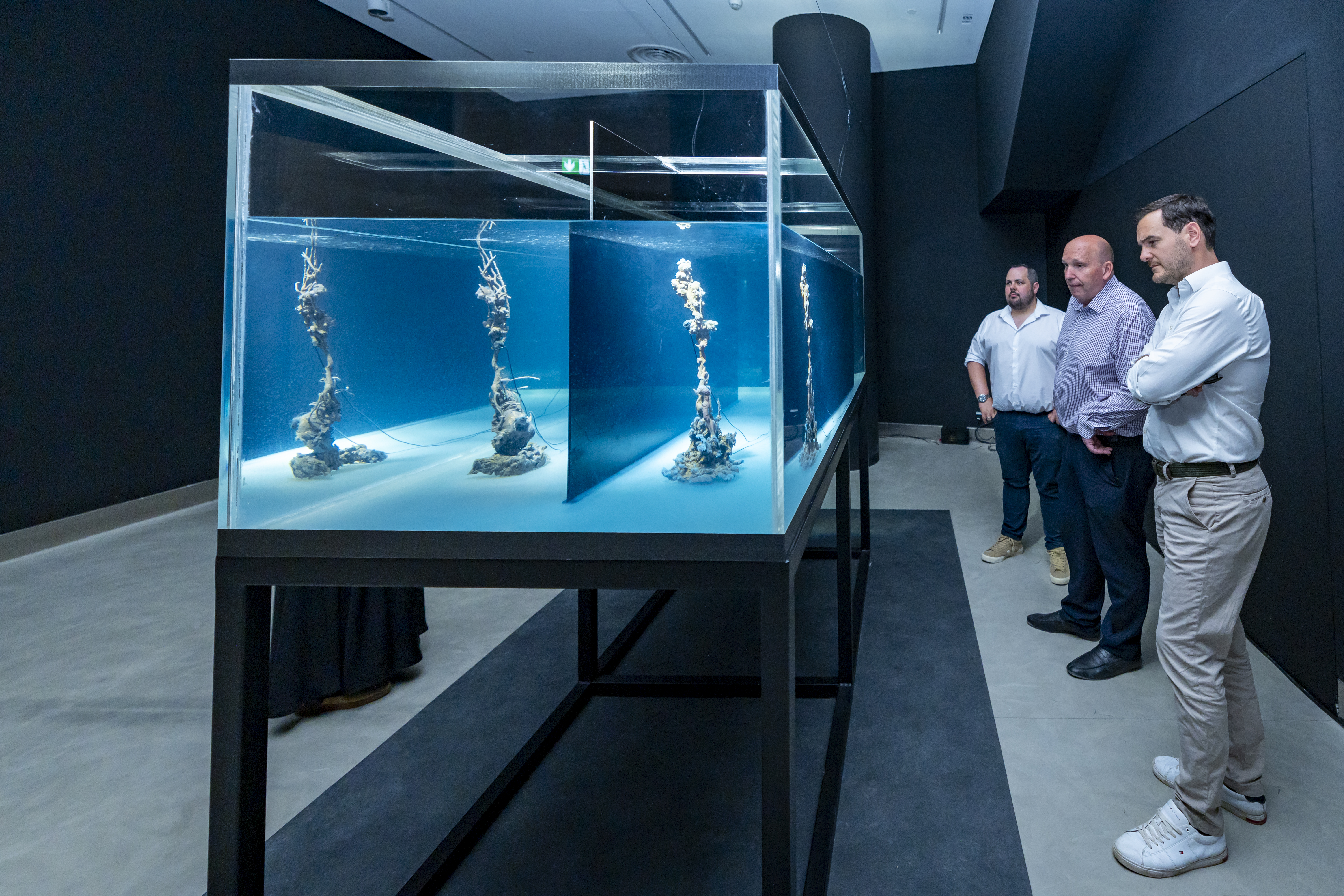 افتتاح معرض 