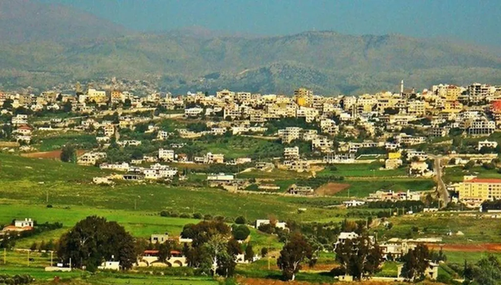 أمن الدولة يكشف عن عملية استيلاء على عقارات جنوبي لبنان