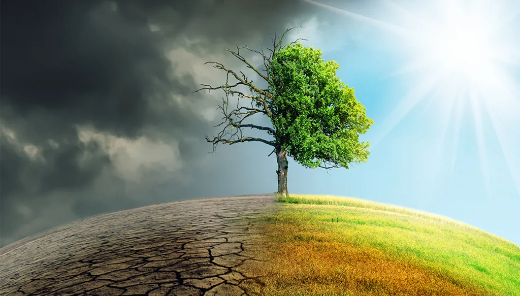 أستراليا مستعدة للتنازل عن استضافة مؤتمر المناخ كوب31 لتركيا