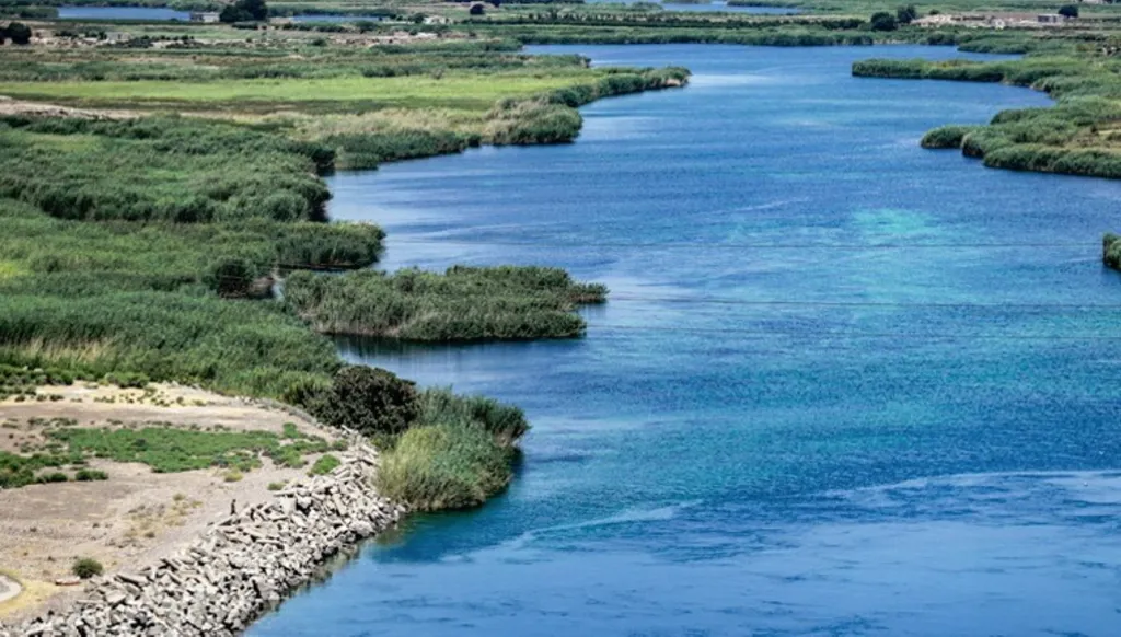 ثروة الشمال الشرقي السوري: نفطٌ متآكل وقمحٌ مُسيَّس وماءٌ يُستخدَم كسلاح