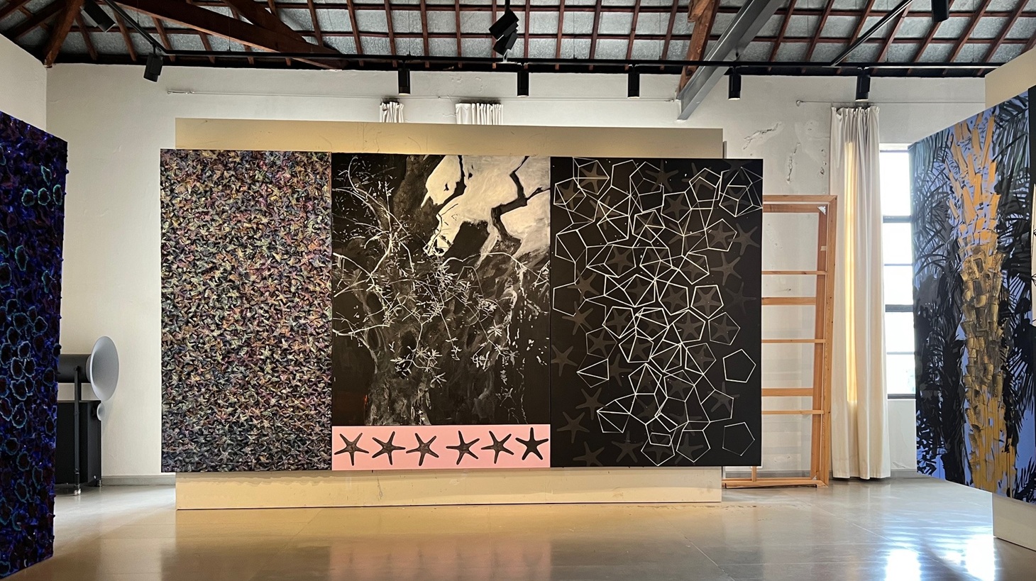 نجوم في غابة الأزمنة.