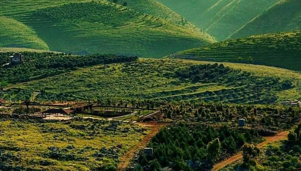 تصريف لبنان بـ"الفعل الماضي الناقص"؟!؟