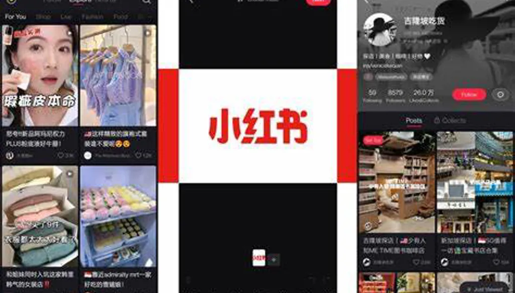 تطبيق صيني يجتاح هواتف الأميركيين لمعاندة قرار إدارة بايدن حظر "تيك توك"