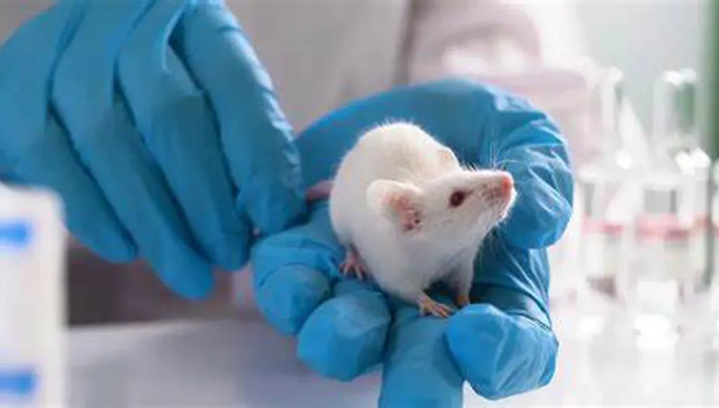 هل تنهي الاختبارات التكنولوجية استخدام الحيوانات في ابتكار الأدوية؟