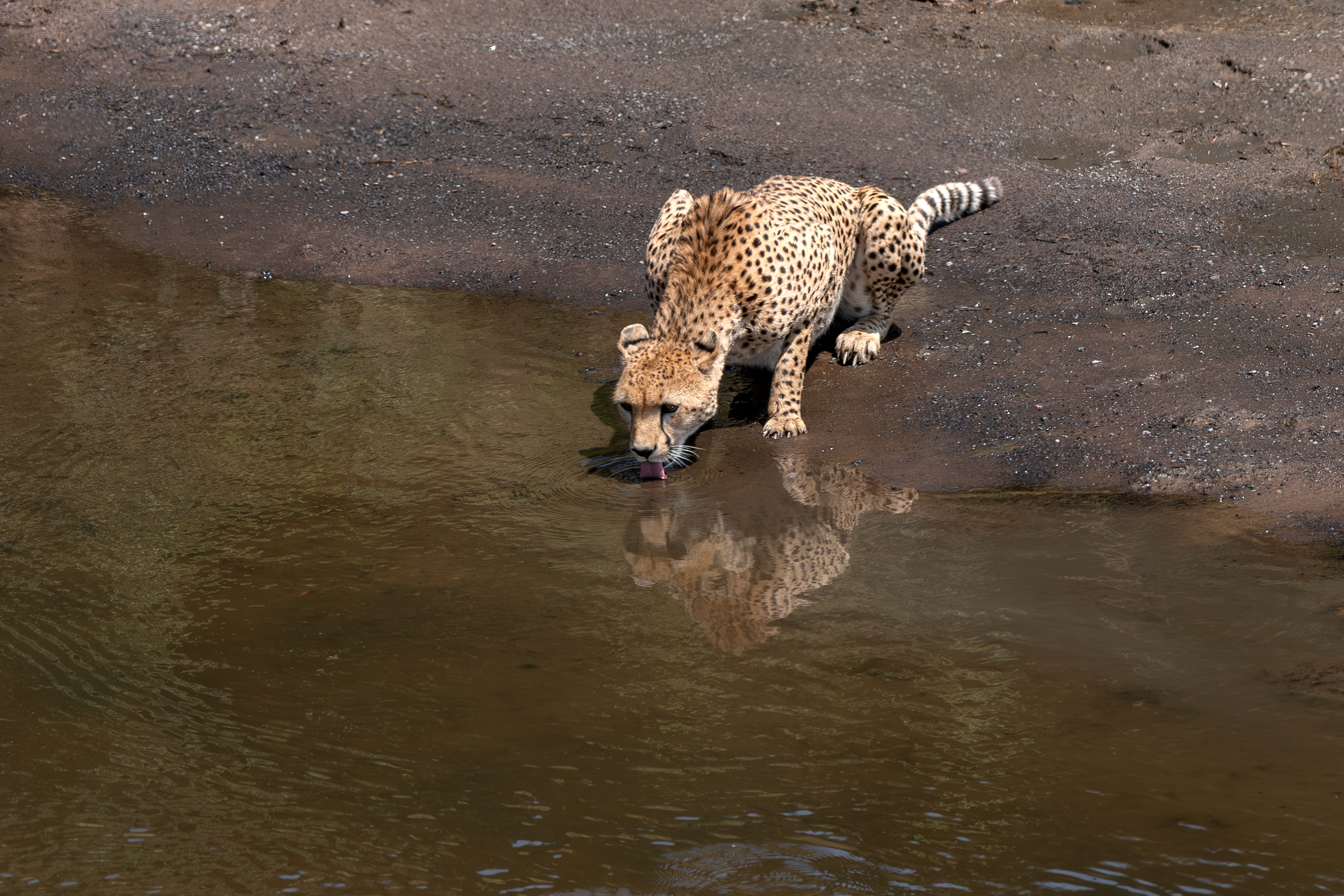 صورة اتخذت بعدسة المصورة سعاد السويدي (من المصورة) 