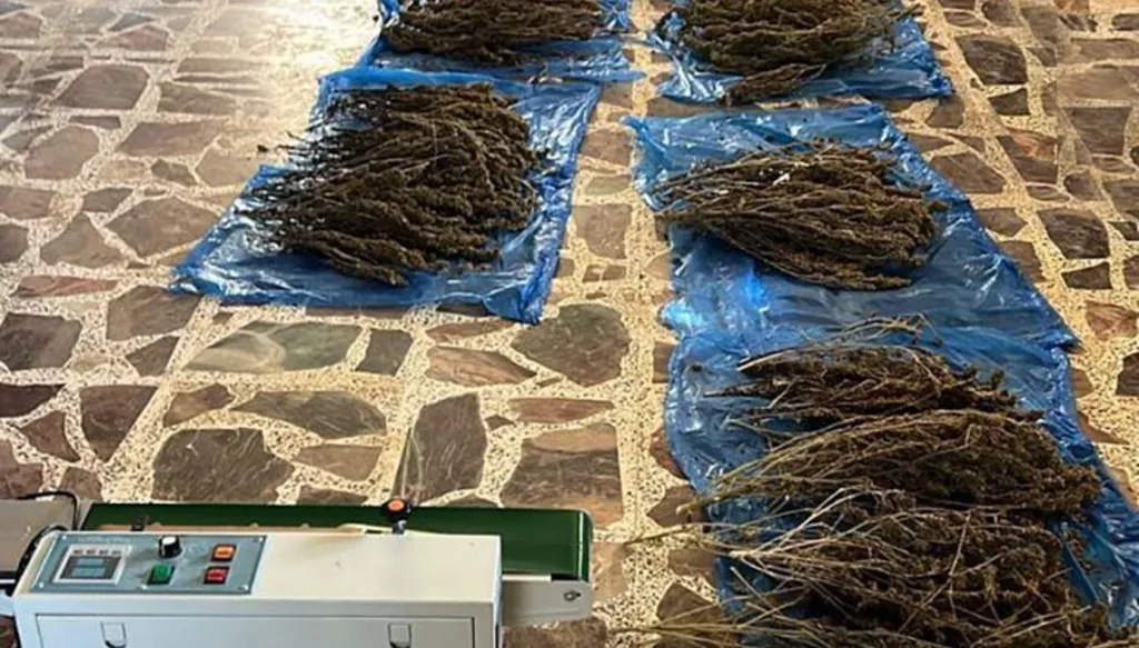 الجيش يضبط معملاً لتصنيع المخدرات في بعلبك ويوقف أحد مروّجي العملة المزورة عند نقطة المصنع