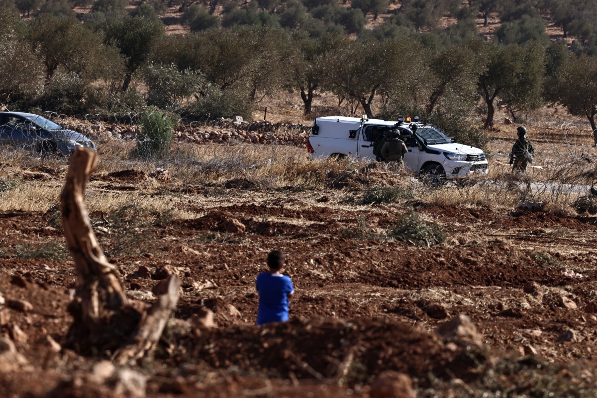 طفل فلسطيني يراقب جنوداً إسرائيليين يقومون بتجريف أشجار الزيتون في الضفة ‏‏(أ ف ب)‏