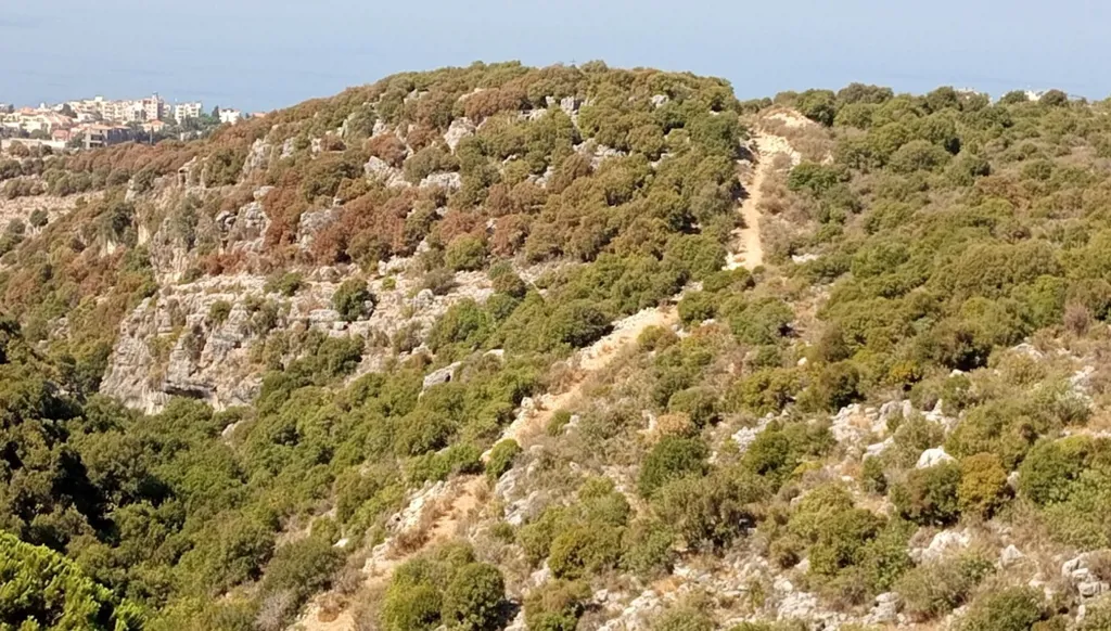 بيئة لبنان في خطر