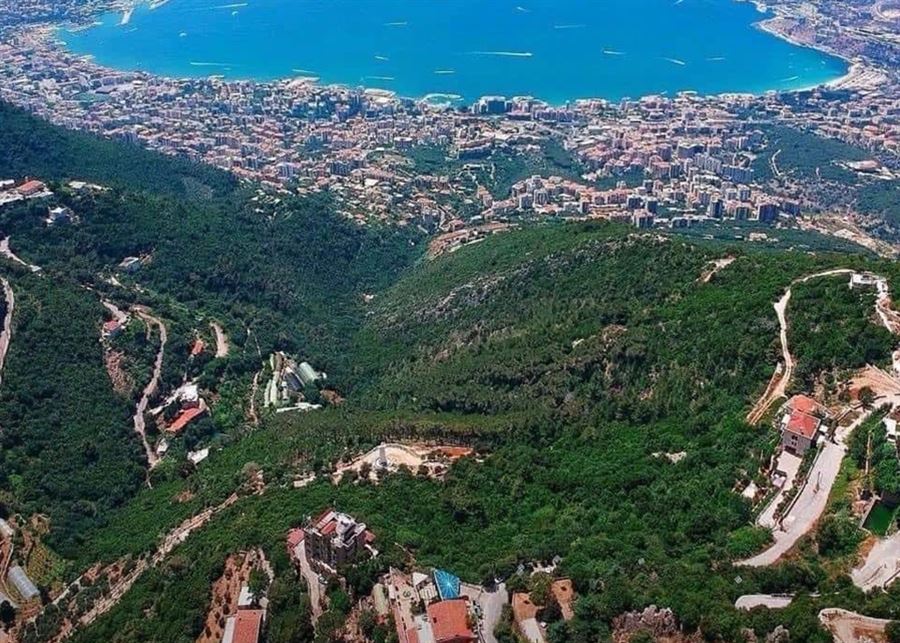 أحراج جبل لبنان