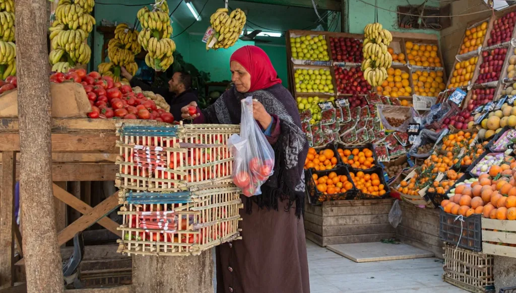 صادرات مصر الغذائية تتجاوز 4.4 مليارات دولار في 7 أشهر