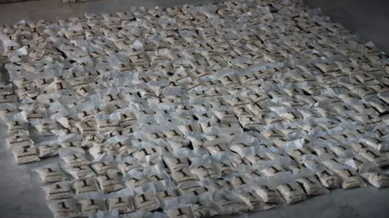 شحنة حبوب الكبتاغون التي تم ضبطها (سانا)