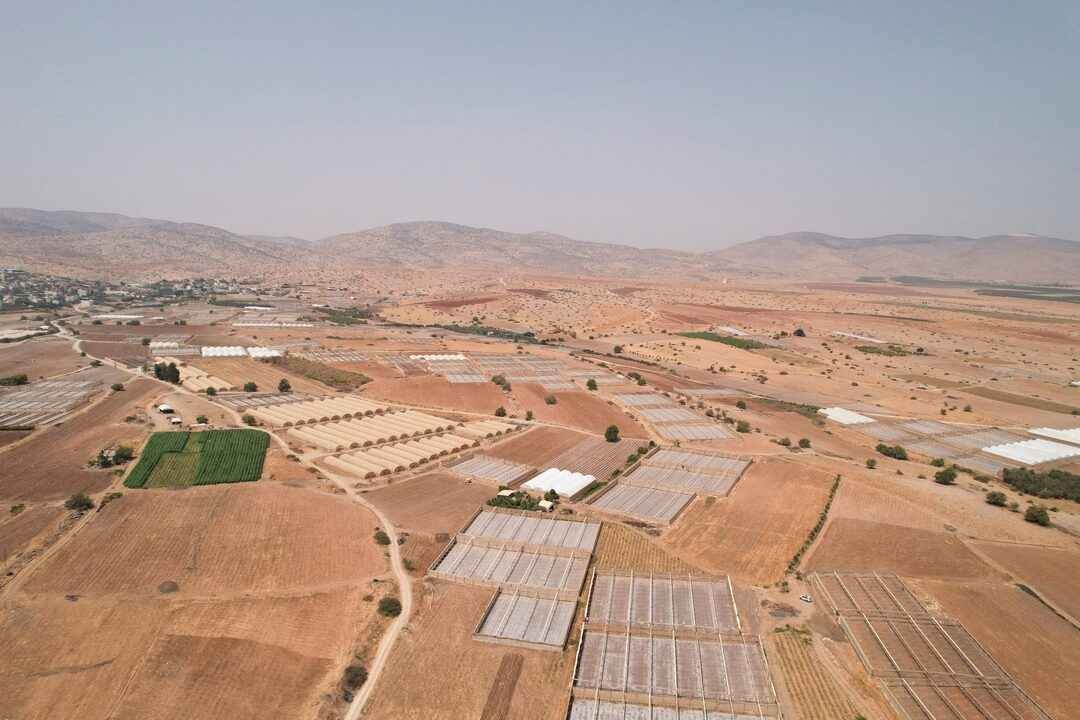 سهل البقيعة الواقع شرق مدينة طوباس في غور الأردن بالضفة الغربية (رويترز)