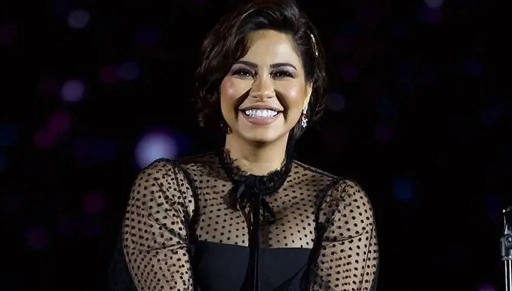 حكم قضائي يعيد الجدل بين شيرين عبد الوهاب ومحمد الشاعر إلى الواجهة