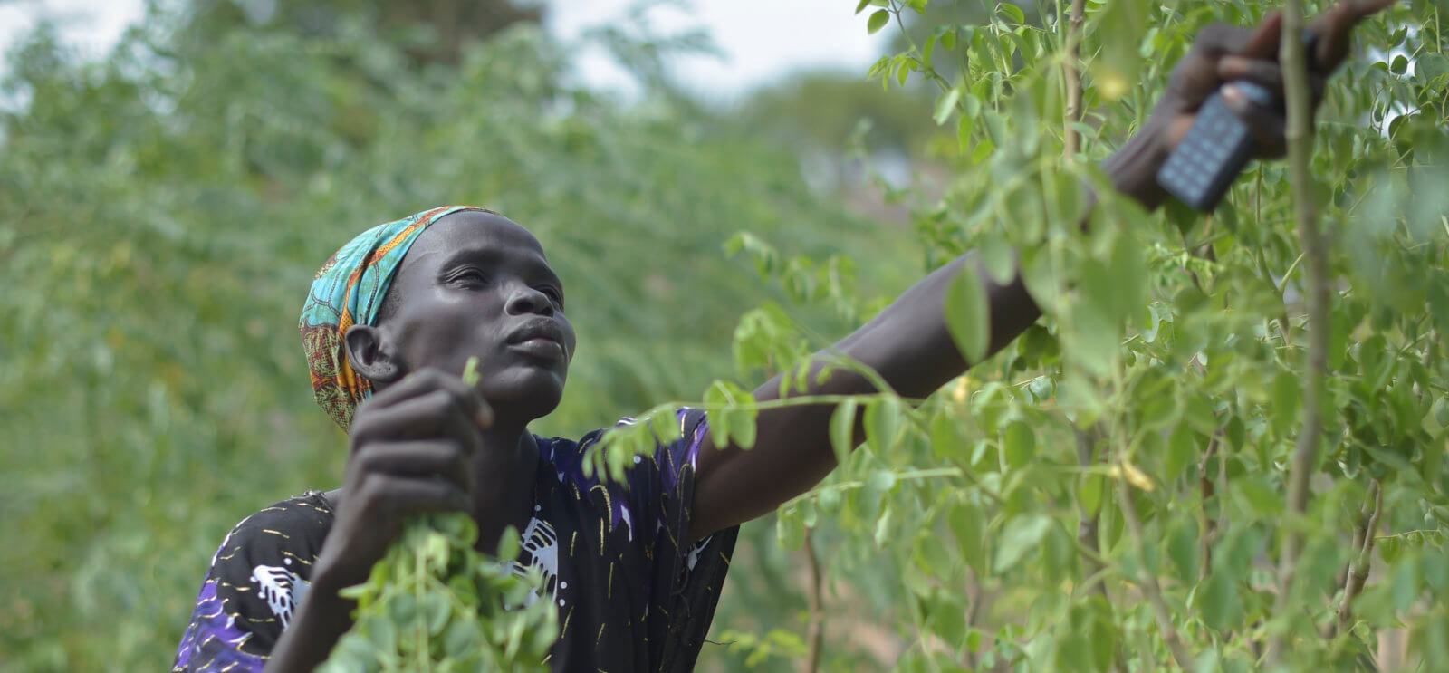 جنوب السودان (أرشيفية).