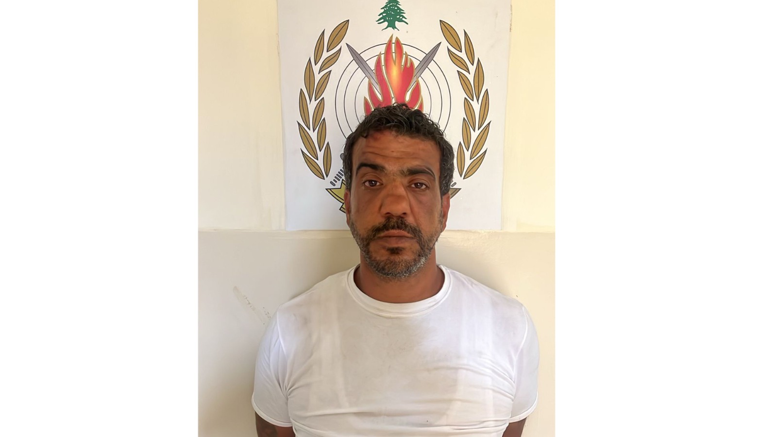 الموقوف وفق قوى الأمن الداخلي (موقع قوى الأمن)