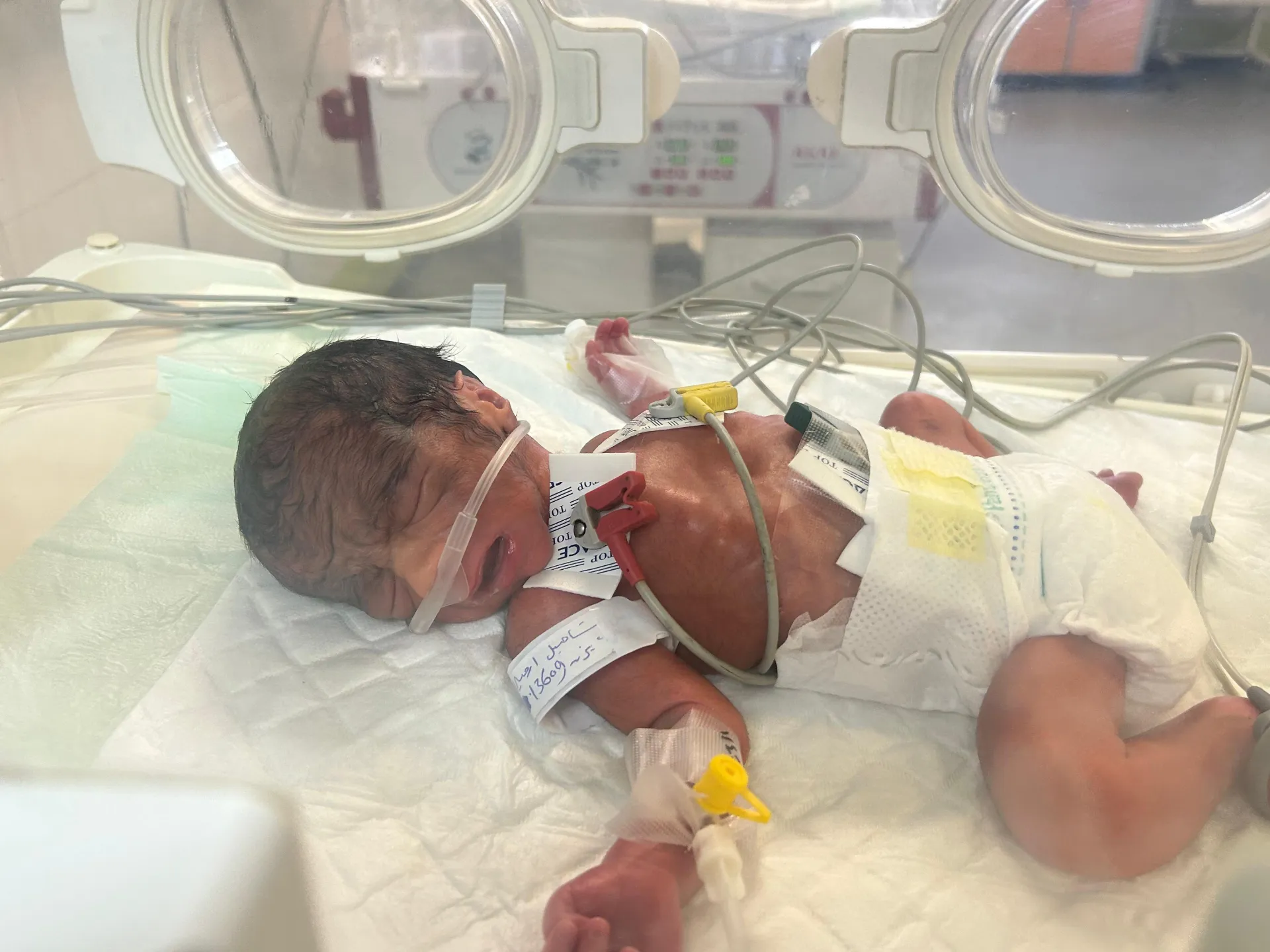 أحد المواليد الجدد في غزة (أرشيفية)