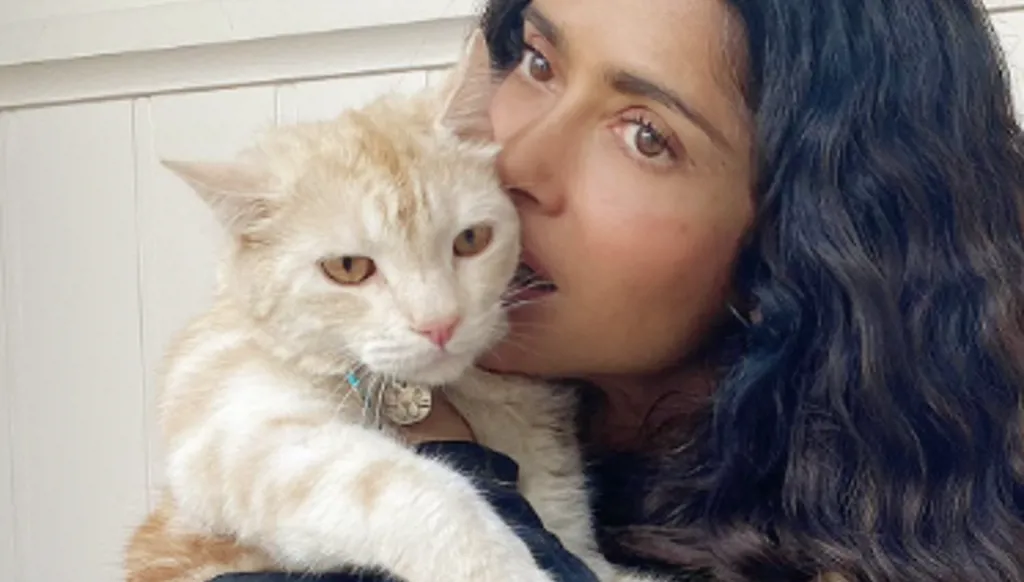 قطة سلمى حايك متهمة بالقتل… وبالجرم المشهود (فيديو)