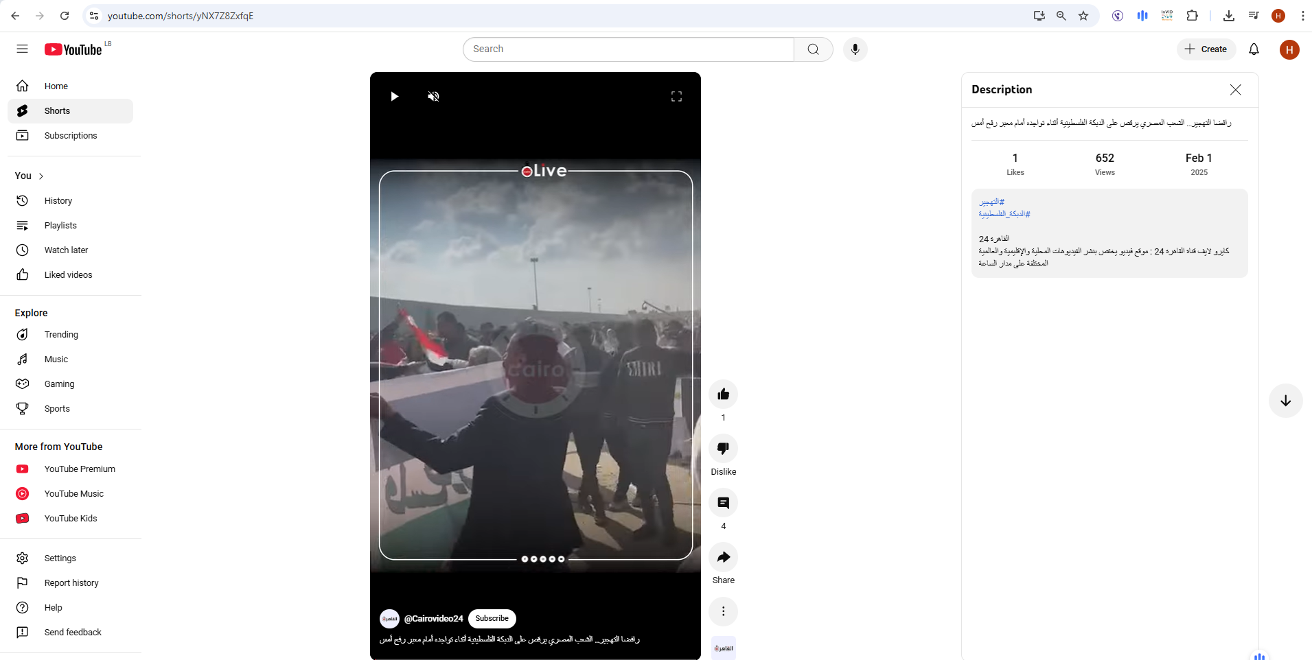 لقطة من الفيديو الذي نشره موقع القاهرة24 في يوتيوب في 1 شباط 2025
