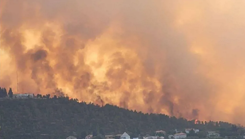 حرائق هائلة في جبال القدس... وإخلاء مستوطنات (فيديو)