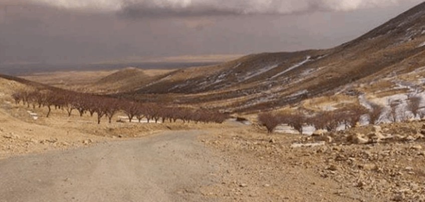 تعبيرية (انترنت)