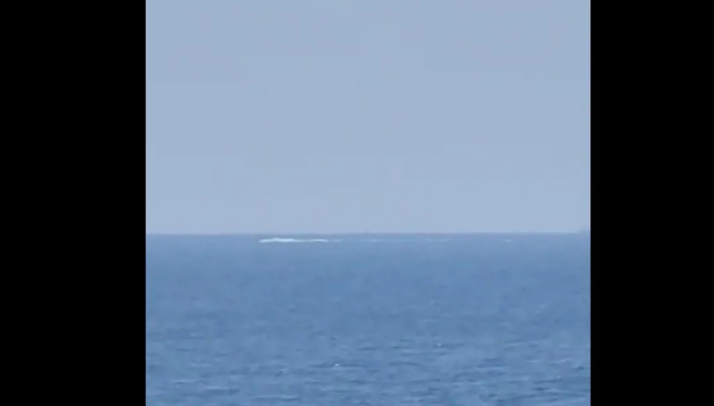 مناشير إسرائيلية تهدد صيادي الأسماك في ميناءي صور والناقورة في جنوبي لبنان