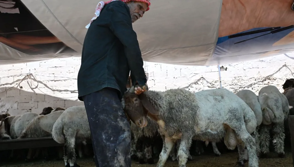 عيد الأضحى يهلّ على اللبنانيين بكثير من الالتزامات... والأضحية مؤجلة (صور)
