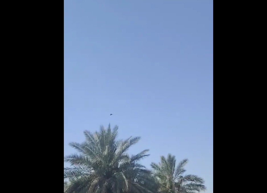 احدى المسيرات (فيديو)