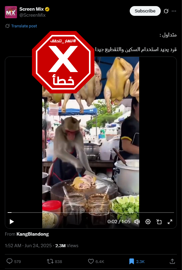 لقطة من الفيديو المتناقل بالمزاعم الخاطئة (اكس)