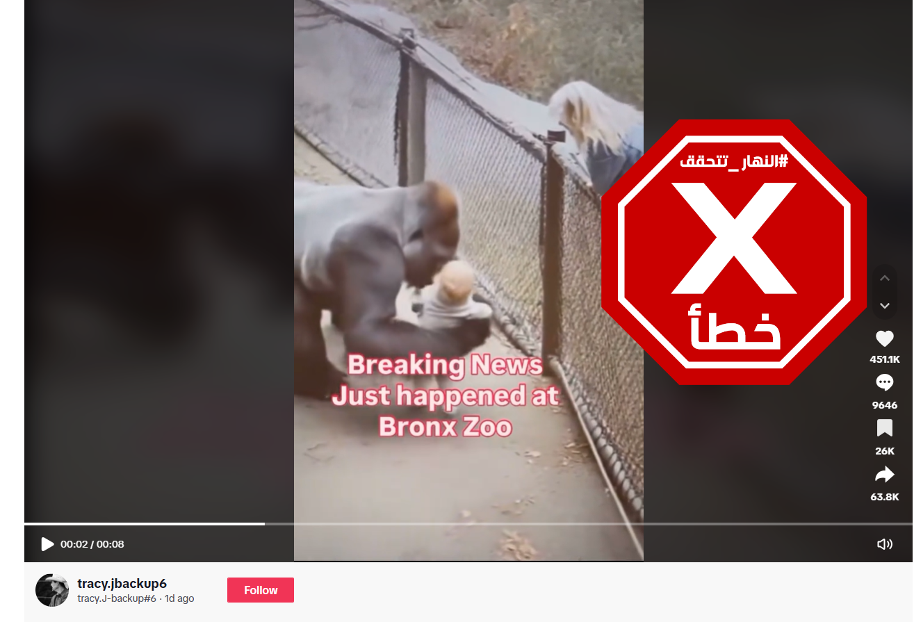 لقطة من الفيديو المتناقل بالمزاعم الخاطئة (تيك توك)