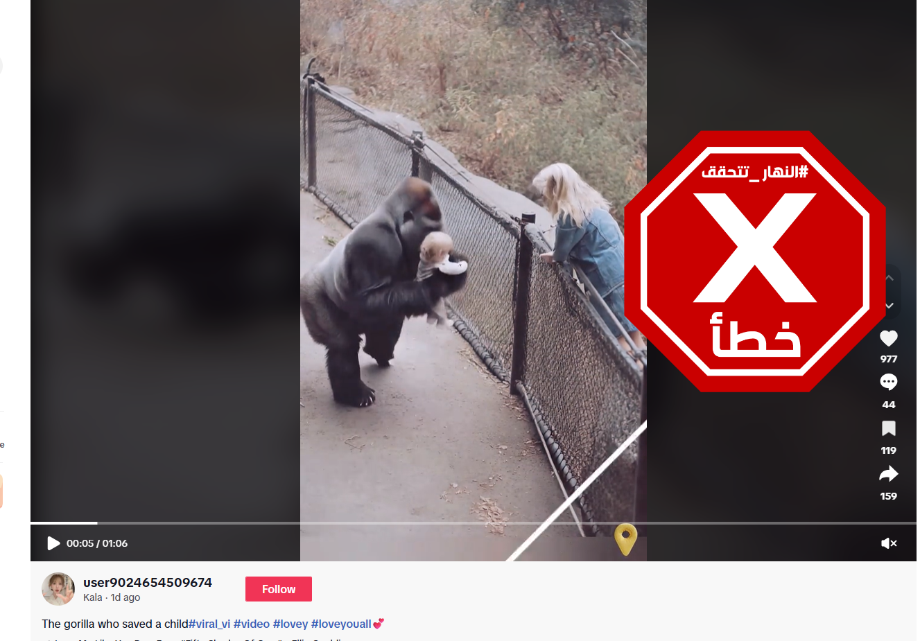 لقطة من الفيديو المتناقل بالمزاعم الخاطئة (تيك توك)