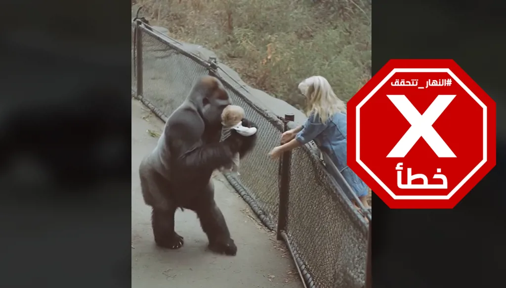 فيديو الغوريلا اللطيفة التي تعيد طفلاً إلى والدته مولد بالذكاء الاصطناعي FactCheck#