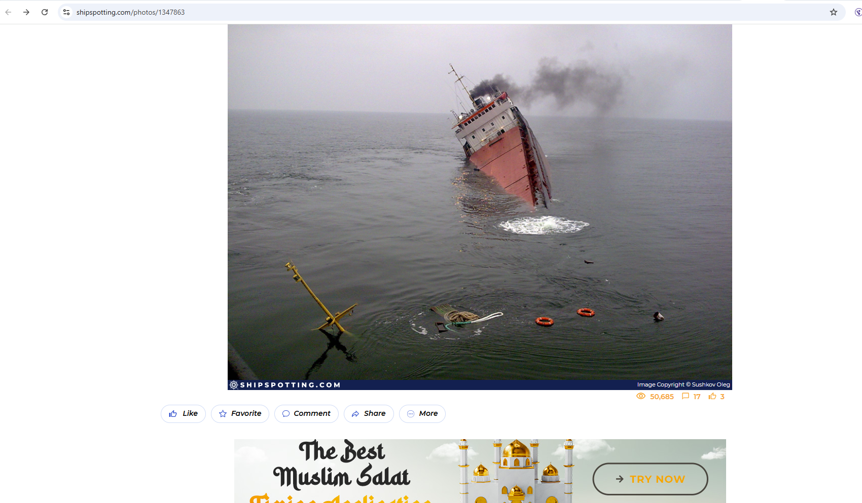 الصورة مؤرشفة في موقع shipspotting