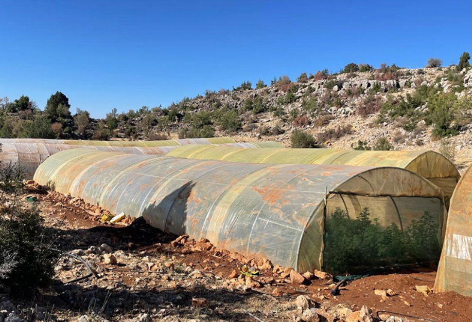 صورة من مكان عملية الإتلاف (مرفقة بالبيان).