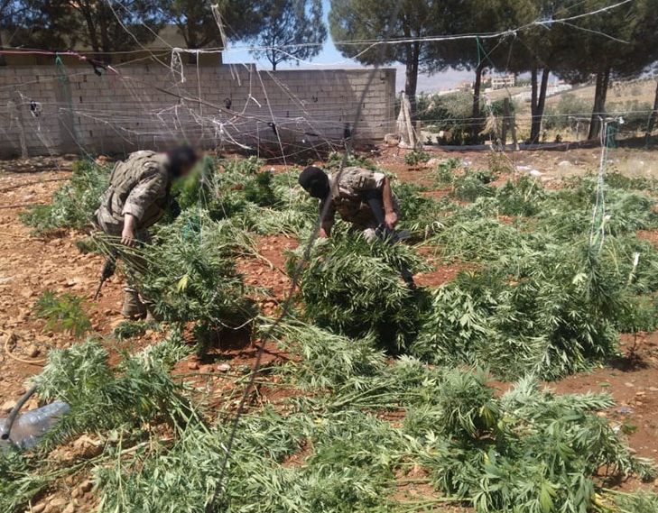 صورة وزعها الجيش اللبناني.