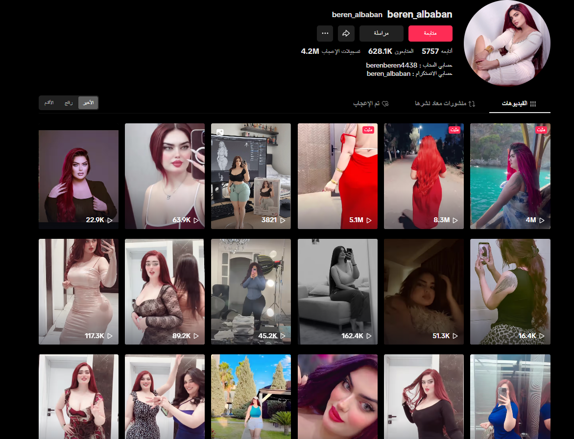 لقطة شاشة لحساب بيرين الباباني (تيك توك)