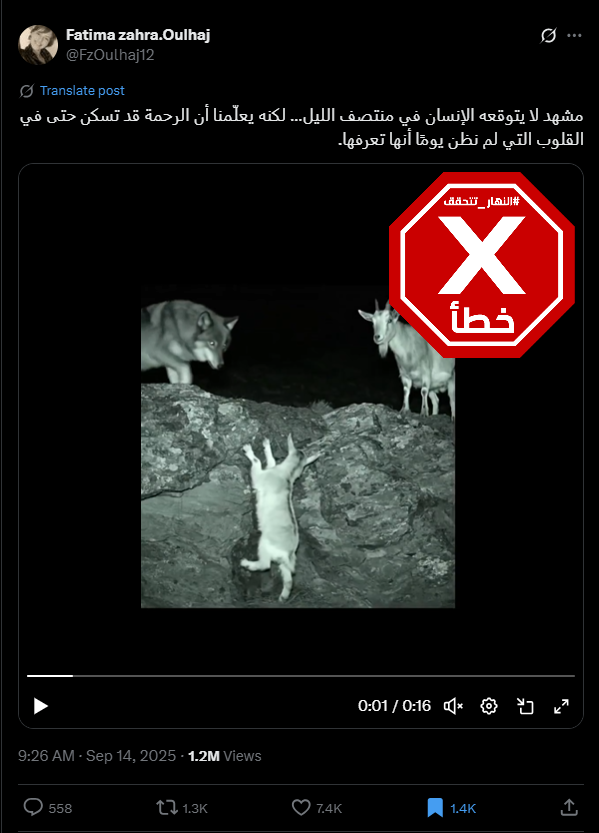 لقطة من الفيديو المتناقل بالمزاعم الخاطئة (اكس)