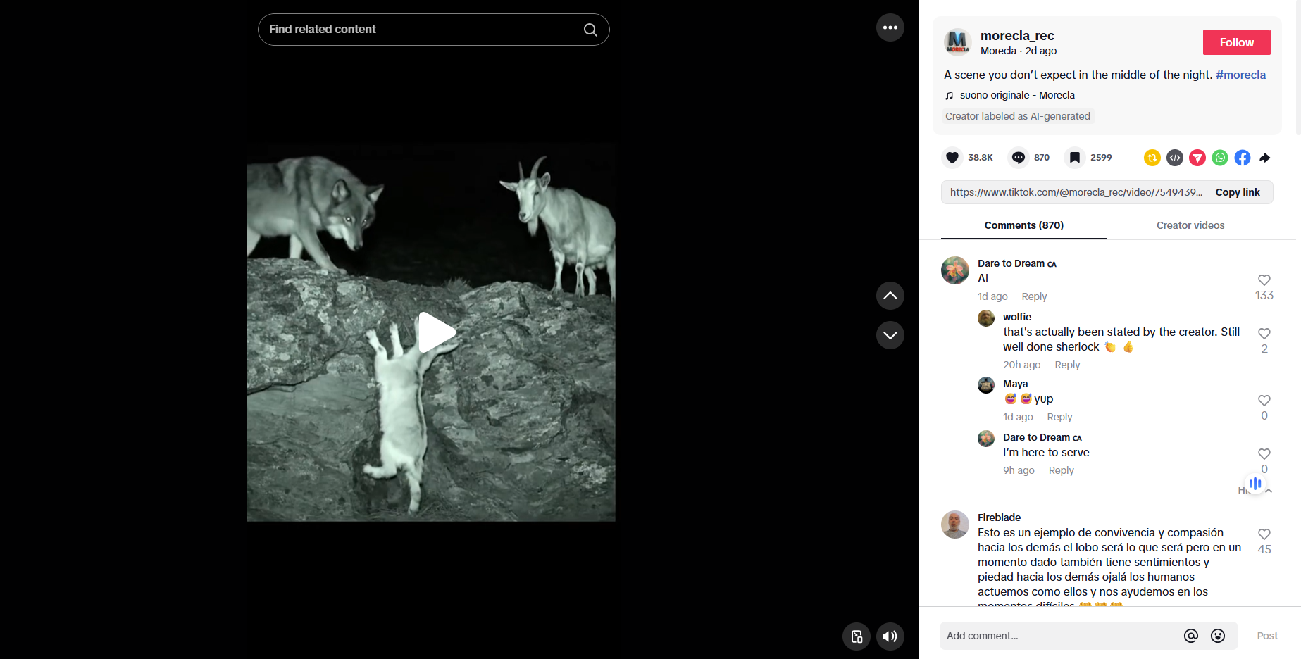 لقطة من الفيديو المنشور في حساب Morecla-Rec@ في تيك توك في 13 ايلول 2025