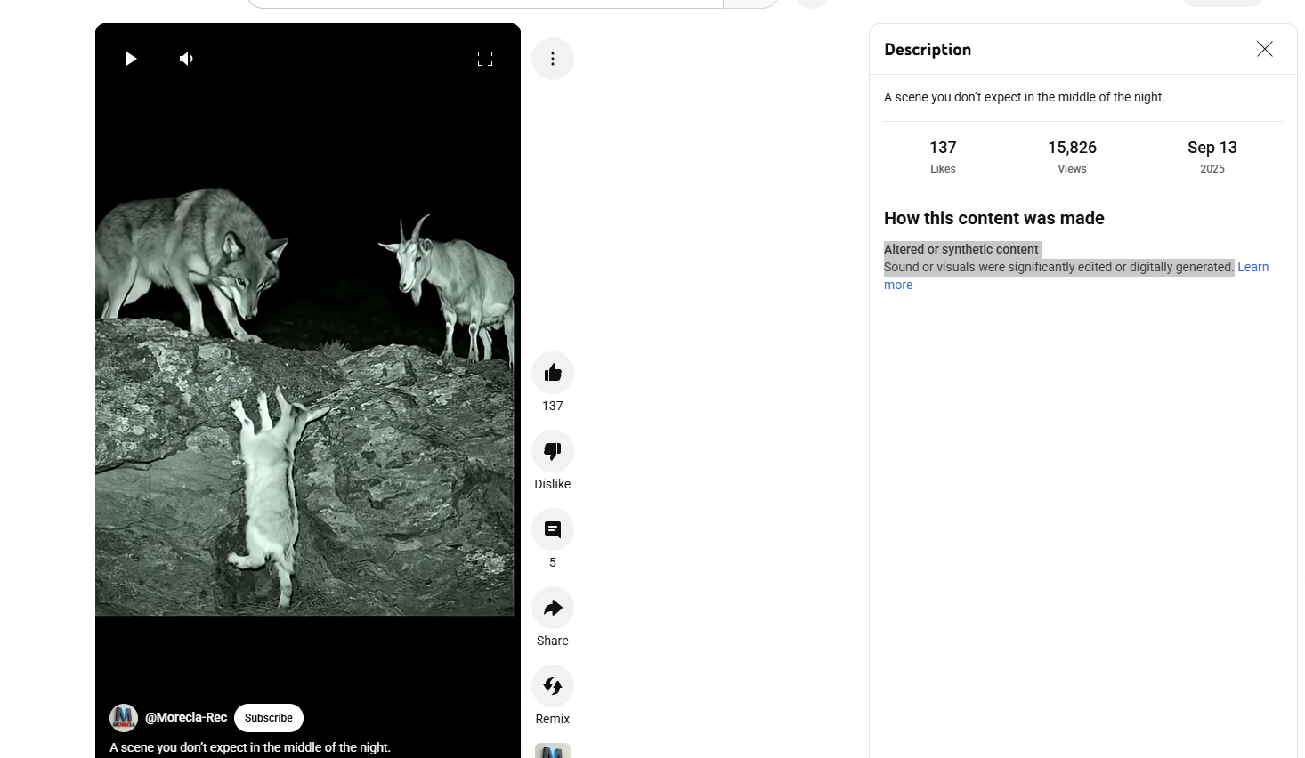 لقطة من الفيديو المنشور في حساب Morecla-Rec في يوتيوب في13 ايلول 2025 