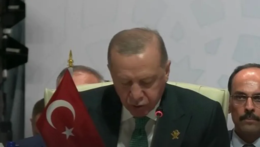 الرئيس التركي: آمل أن تترجم قراراتنا اليوم إلى إعلان مكتوب موجه إلى العالم أجمع