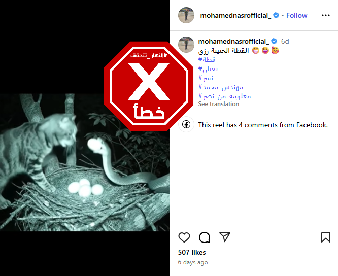 لقطة من الفيديو المتناقل بالمزاعم الخاطئة (انستغرام)