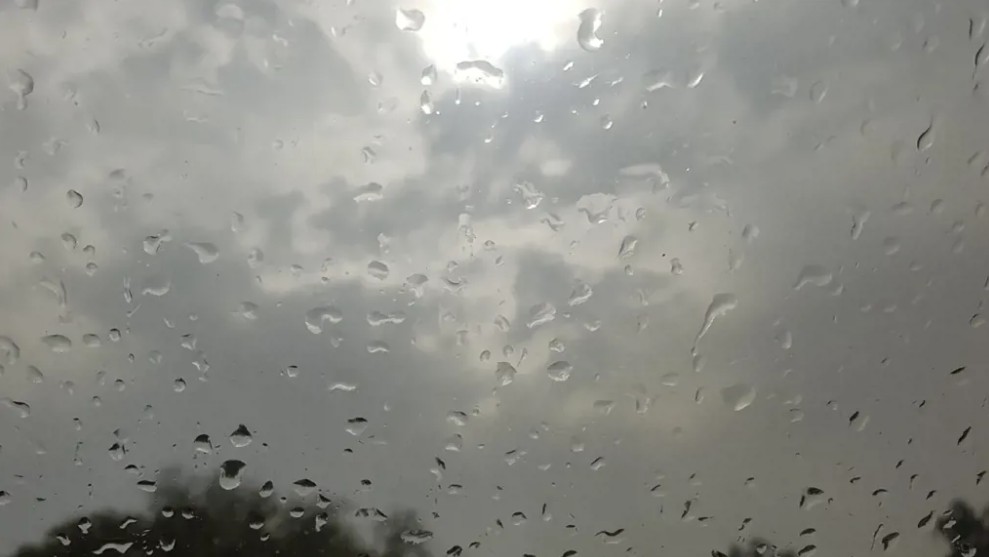 صورة تعبيرية (مواقع).