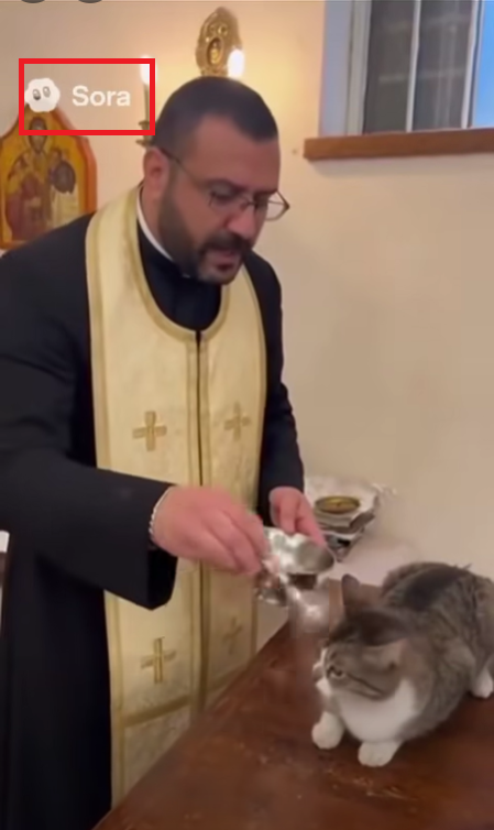 شعار SORA على الفيديو