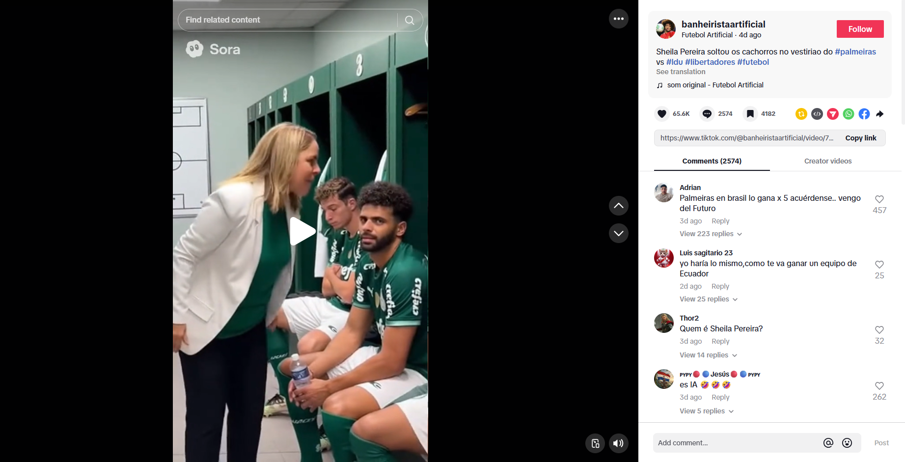 لقطة من الفيديو المنشور في حساب banheiristaartificial@ في تيك توك في 24 تشرين الاول 2025