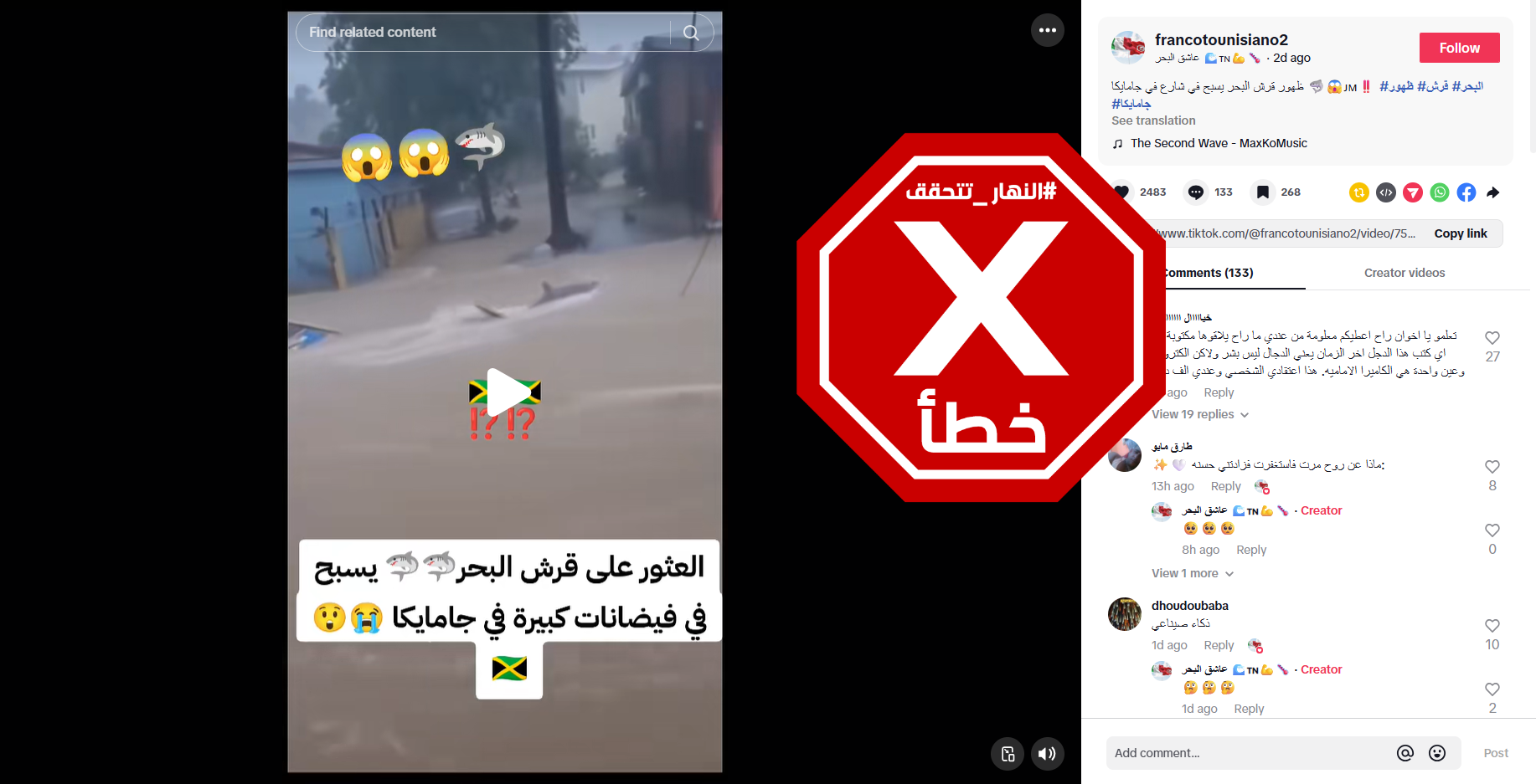 لقطة من الفيديو المتناقل بالمزاعم الخاطئة (تيك توك)