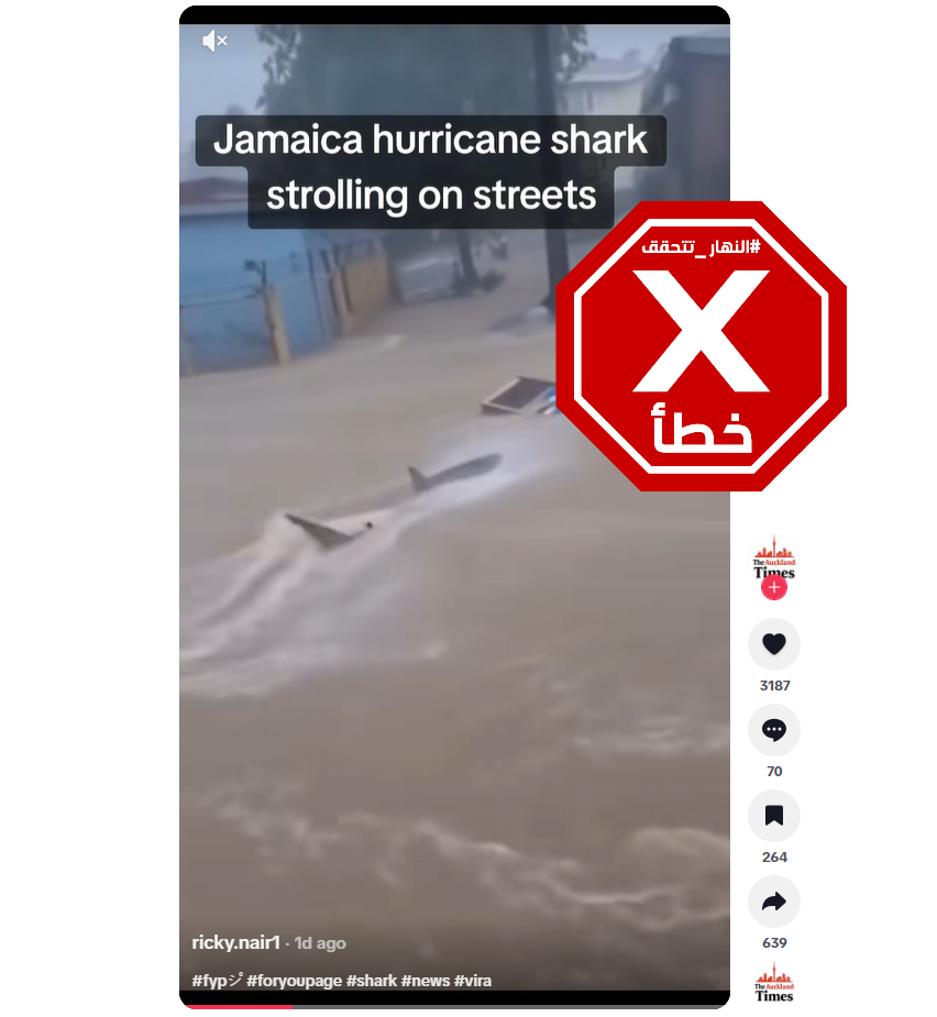 لقطة من الفيديو المتناقل بالمزاعم الخاطئة (تيك توك)