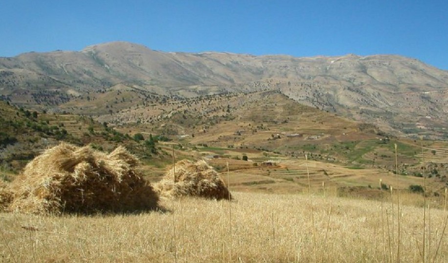 الهرمل. (تواصل)