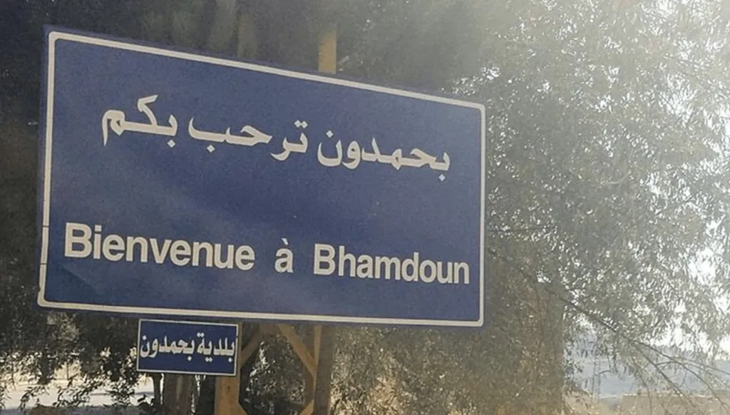 ينقلان المخدّرات من البقاع... وقُبض عليهما في محلة بحمدون!