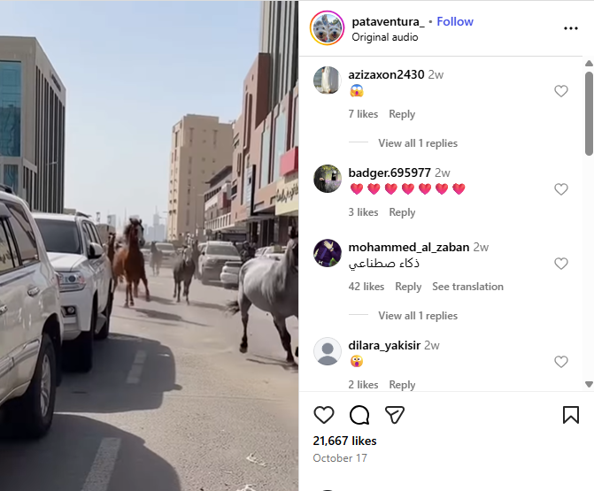 لقطة من الفيديو المنشور في حساب Pata Aventura في انستغرام في 17 تشرين الاول 2025