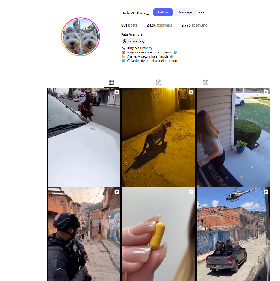 لقطة لحساب Pata Aventura في انستغرام